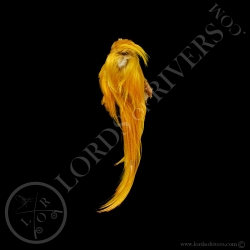 Golden Pheasant Complete Head Crest Premium feathers Lords of Rivers