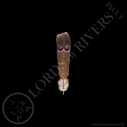 Double eyed Side Tails Feathers Type 1 Germain's Peacock-Pheasant- Lords Of Rivers