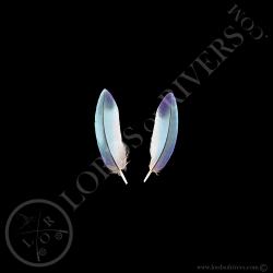 Lilac-breasted Roller - Paired Small Wing Cover Turquoise - Lords Of Rivers