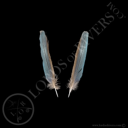 Rollier à Longs Brins - Paire Center Tails Type 2 - Lords Of Rivers