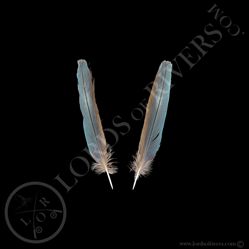 Rollier à Longs Brins - Paire Center Tails Type 2 - Lords Of Rivers