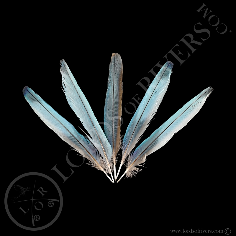 Rollier à Longs Brins - Lot Center Tails Type 2 - Lords Of Rivers