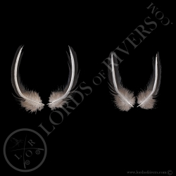 Vulturine Guineafowl Paired Black Breast Elvers feathers Lords Of Rivers