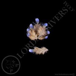 Irene Bleu-Fairy BlueBird Lot de plumes de Corps - Lords Of Rivers
