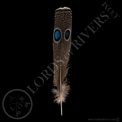 copy of Double eyed Side Tails type 1 Palawan Peacock Pheasant - Lords Of Rivers