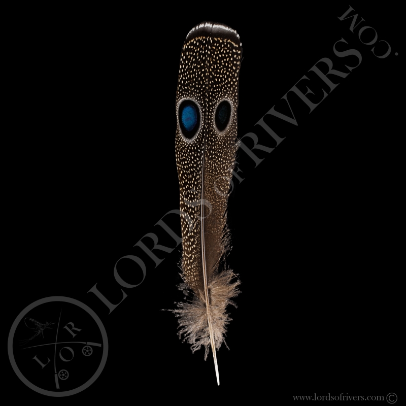 Epéronnier de Napoléon "Double eyed Side Tails Type 2" Lords Of Rivers