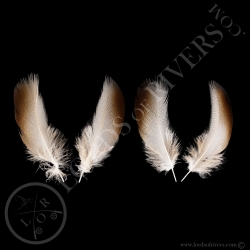 Plumes d'Epaule Bronze de canard Mallard XXL Paire Lords of Rivers