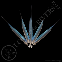 Rollier à Longs Brins - Lot Side Tails Dark Blue - Lords Of Rivers