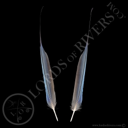 Rollier à Longs Brins - Paire Side Tails Dark Blue - Lords Of Rivers