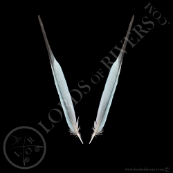 Rollier à Longs Brins - Paire Side Tails Turquoise - Lords Of Rivers