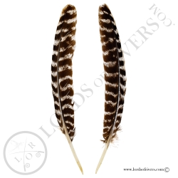 Ozark Wild Turkey - Paired Wing Cover Lords Of Rivers