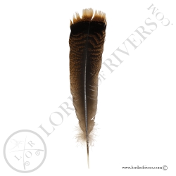 Dindon Sauvage Américain - Ozark - Plume Center Tails XL Lords Of Rivers