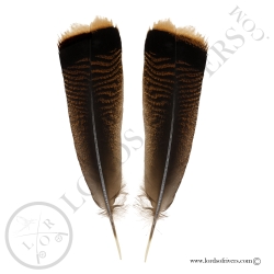 Dindon Sauvage Américain - Ozark - Paire Center Tails XL Lords Of Rivers