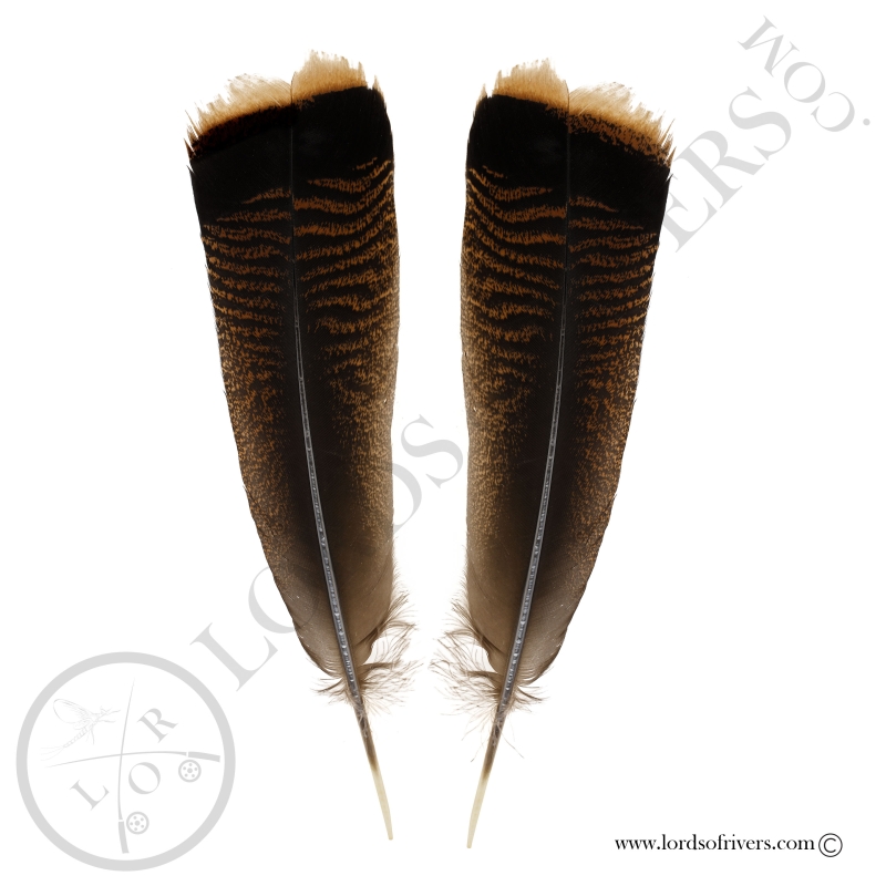 Dindon Sauvage Américain - Ozark - Paire Center Tails XL Lords Of Rivers