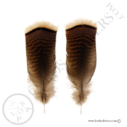 Dindon Sauvage Américain - Ozark - Paire Cover Tails Lords Of Rivers