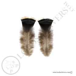 Ozark Wild Turkey - Paired Body Feathers Lords Of Rivers
