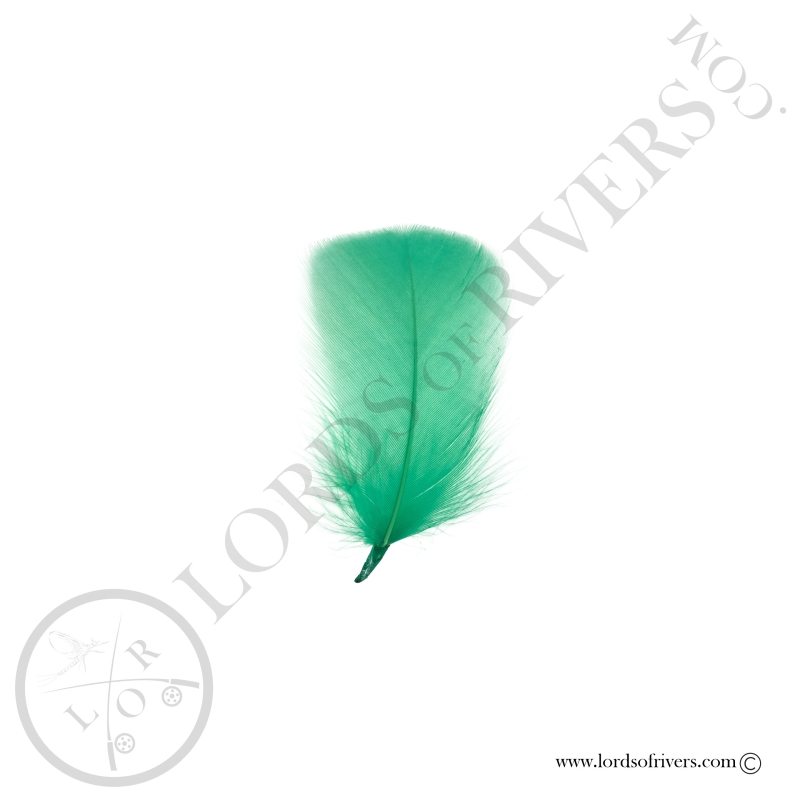 Coquille D'oie Colorées Vives Au Poids - Lords Of Rivers