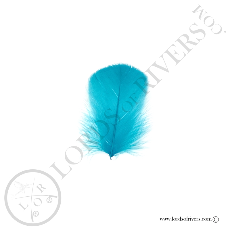 Coquille D'oie Colorées Vives Au Poids - Lords Of Rivers