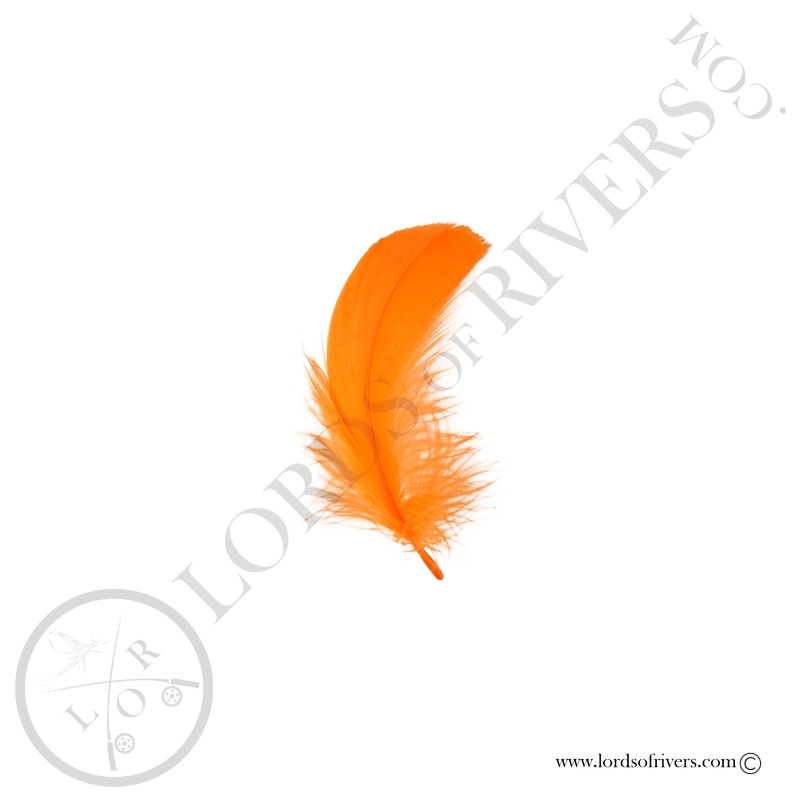 Coquille D'oie Colorées Vives Au Poids - Lords Of Rivers