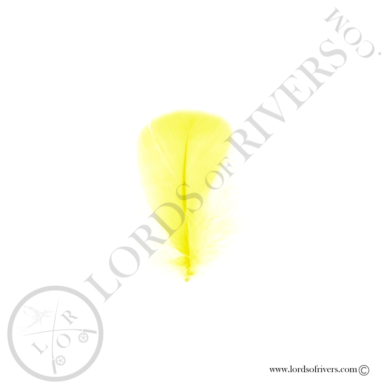 Coquille D'oie Colorées Vives Au Poids - Lords Of Rivers