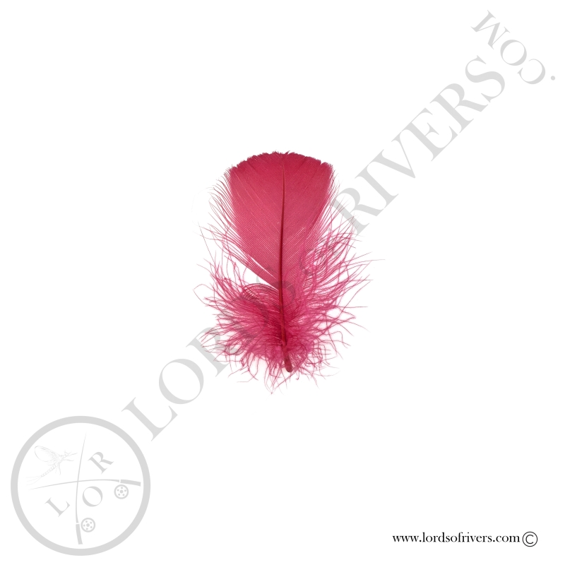 Coquille D'oie Colorées Vives Au Poids - Lords Of Rivers