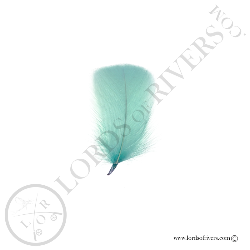 Coquille D'oie Colorées Pastel Au Poids - Lords Of Rivers