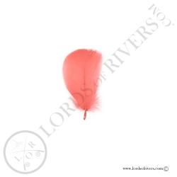 Coquille D'oie Colorées Pastel Au Poids - Lords Of Rivers