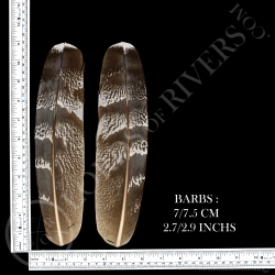 Outarde Kori-Paire de Plumes d'Ailes Lords of Rivers