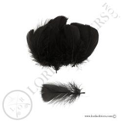 Coquille D'Oie Colorées Hand Selected 100 Plumes - Lords Of Rivers