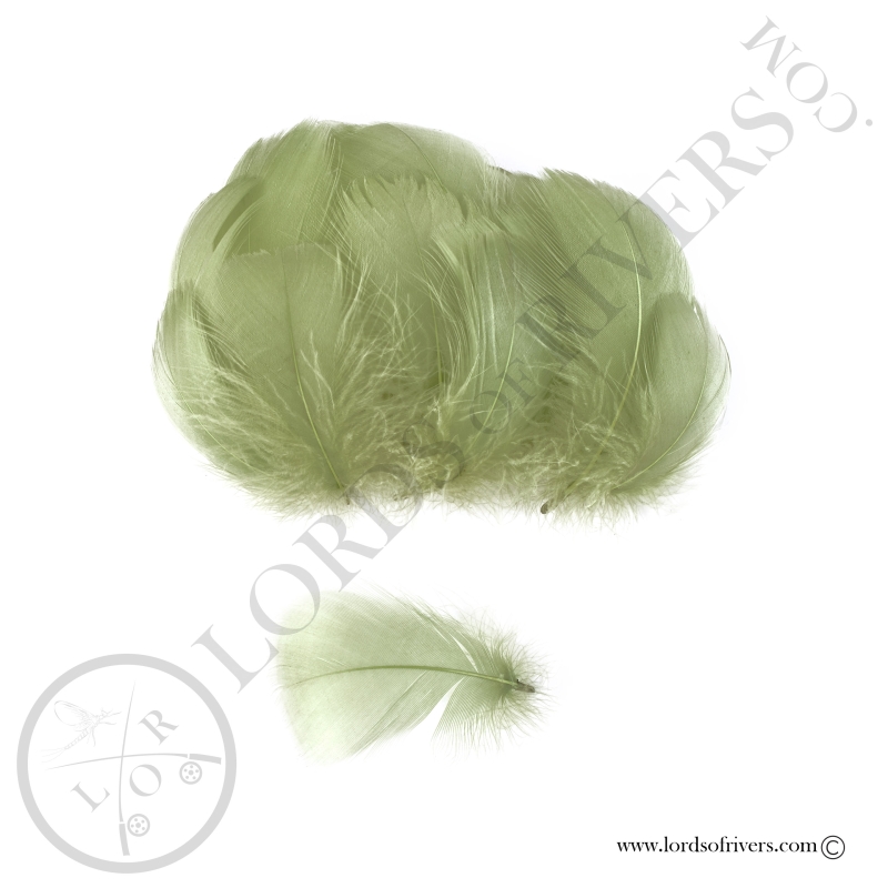 Goose Colored Body Feathers-100 Feathers  Hand Selected - Lords Of Rivers