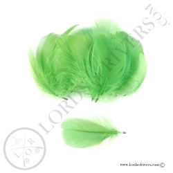 Goose Colored Body Feathers-100 Feathers  Hand Selected - Lords Of Rivers