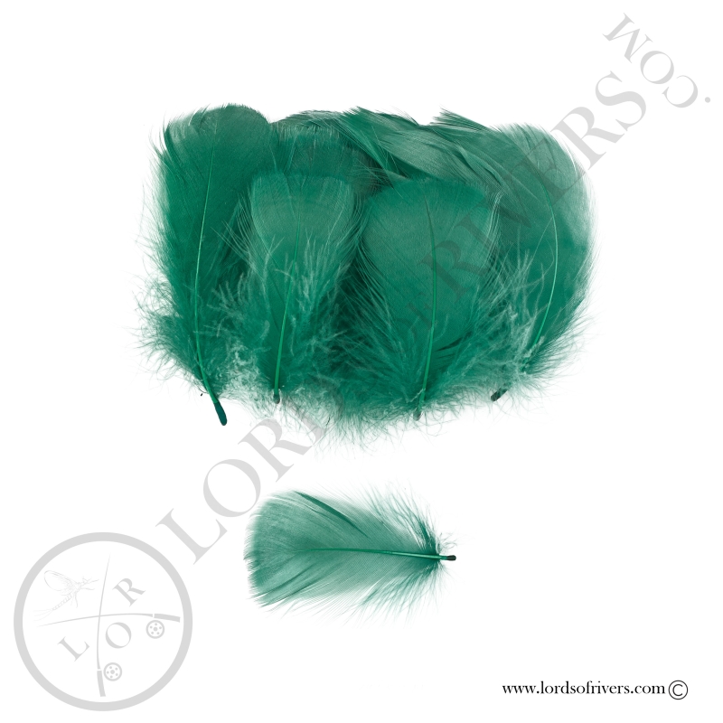 Goose Colored Body Feathers-100 Feathers  Hand Selected - Lords Of Rivers