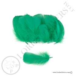 Goose Colored Body Feathers-100 Feathers  Hand Selected - Lords Of Rivers