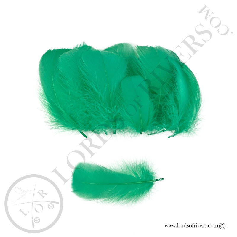 Goose Colored Body Feathers-100 Feathers  Hand Selected - Lords Of Rivers