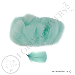 Goose Colored Body Feathers-100 Feathers  Hand Selected - Lords Of Rivers