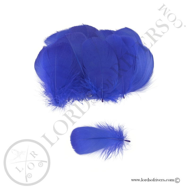 Goose Colored Body Feathers-100 Feathers  Hand Selected - Lords Of Rivers