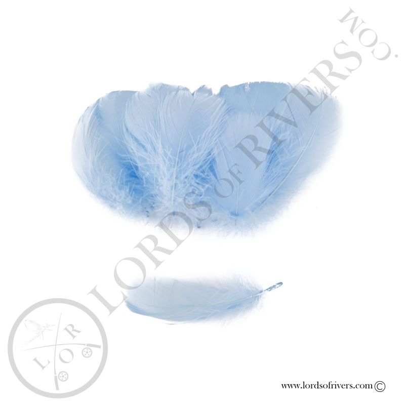 Goose Colored Body Feathers-100 Feathers  Hand Selected - Lords Of Rivers