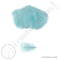 Goose Colored Body Feathers-100 Feathers  Hand Selected - Lords Of Rivers