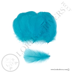 Coquille D'Oie Colorées Hand Selected 100 Plumes - Lords Of Rivers