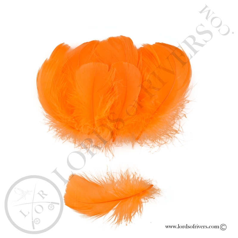 Goose Colored Body Feathers-100 Feathers  Hand Selected - Lords Of Rivers