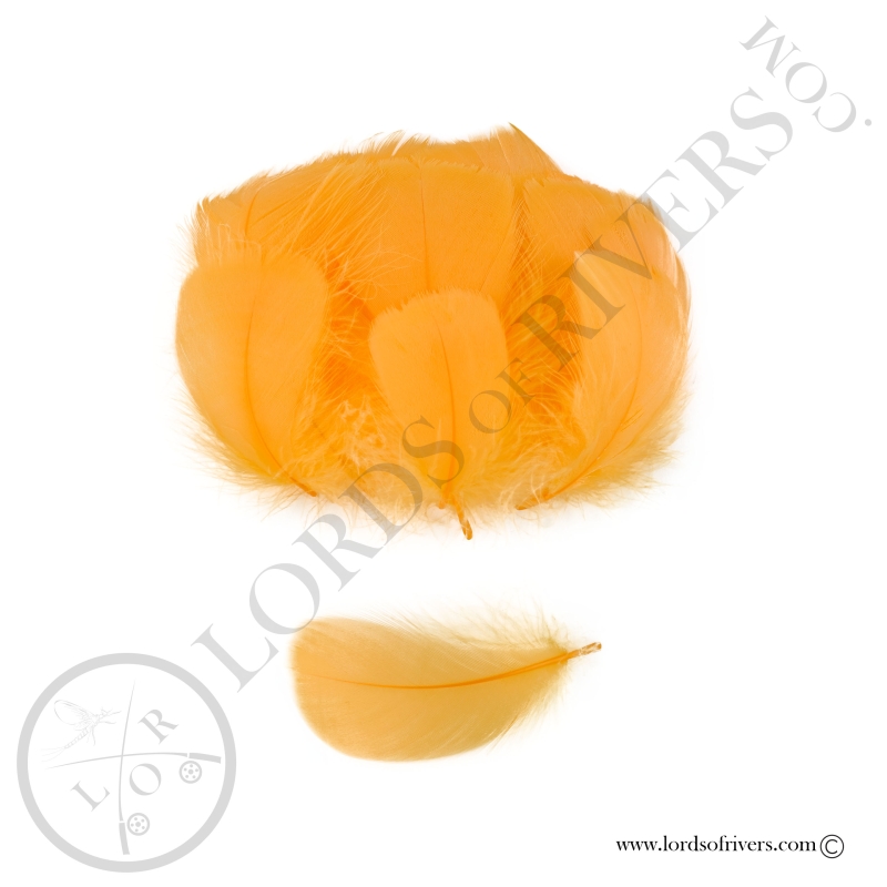 Coquille D'Oie Colorées Hand Selected 100 Plumes - Lords Of Rivers