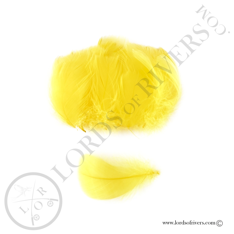 Goose Colored Body Feathers-100 Feathers  Hand Selected - Lords Of Rivers