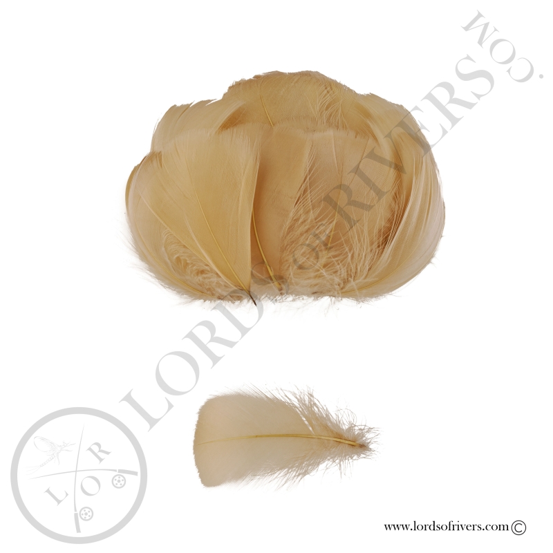 Goose Colored Body Feathers-100 Feathers  Hand Selected - Lords Of Rivers