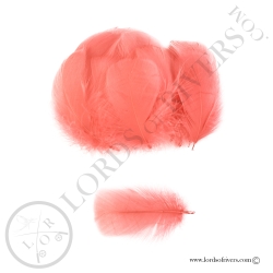 Coquille D'Oie Colorées Hand Selected 100 Plumes - Lords Of Rivers