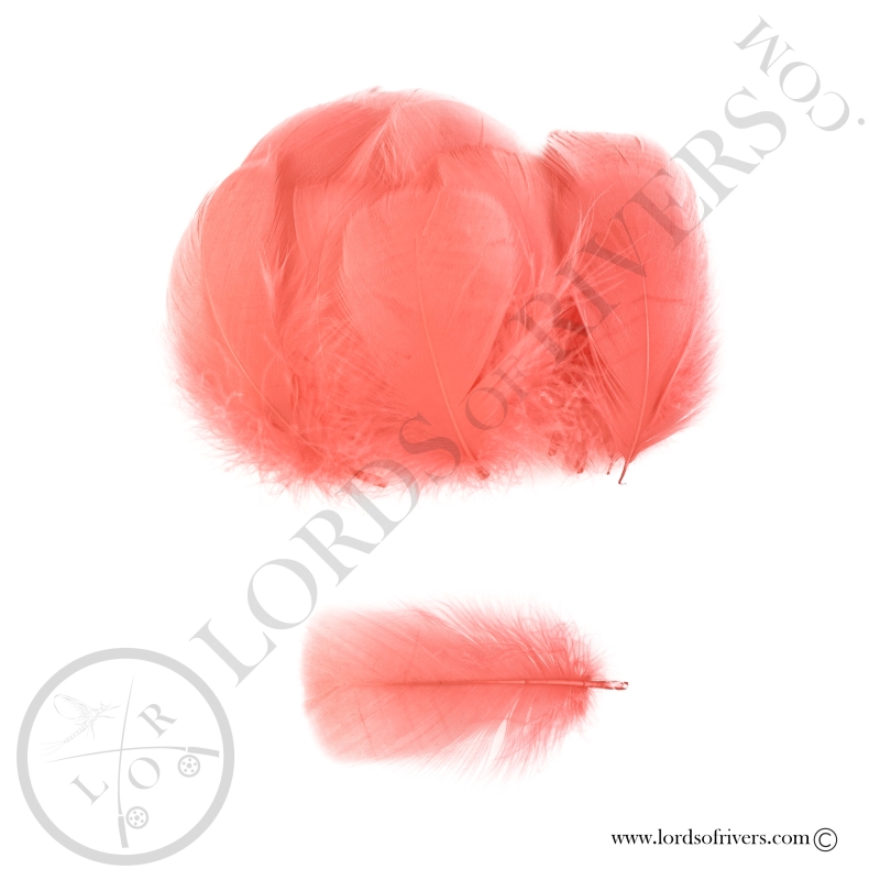 Coquille D'Oie Colorées Hand Selected 100 Plumes - Lords Of Rivers