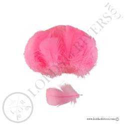 Coquille D'Oie Colorées Hand Selected 100 Plumes - Lords Of Rivers