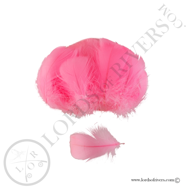 Goose Colored Body Feathers-100 Feathers  Hand Selected - Lords Of Rivers