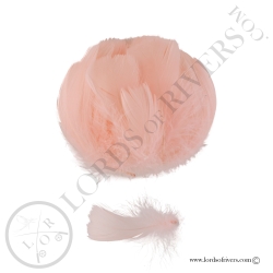 Goose Colored Body Feathers-100 Feathers  Hand Selected - Lords Of Rivers