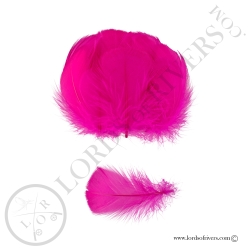Goose Colored Body Feathers-100 Feathers  Hand Selected - Lords Of Rivers