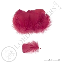 Goose Colored Body Feathers-100 Feathers  Hand Selected - Lords Of Rivers